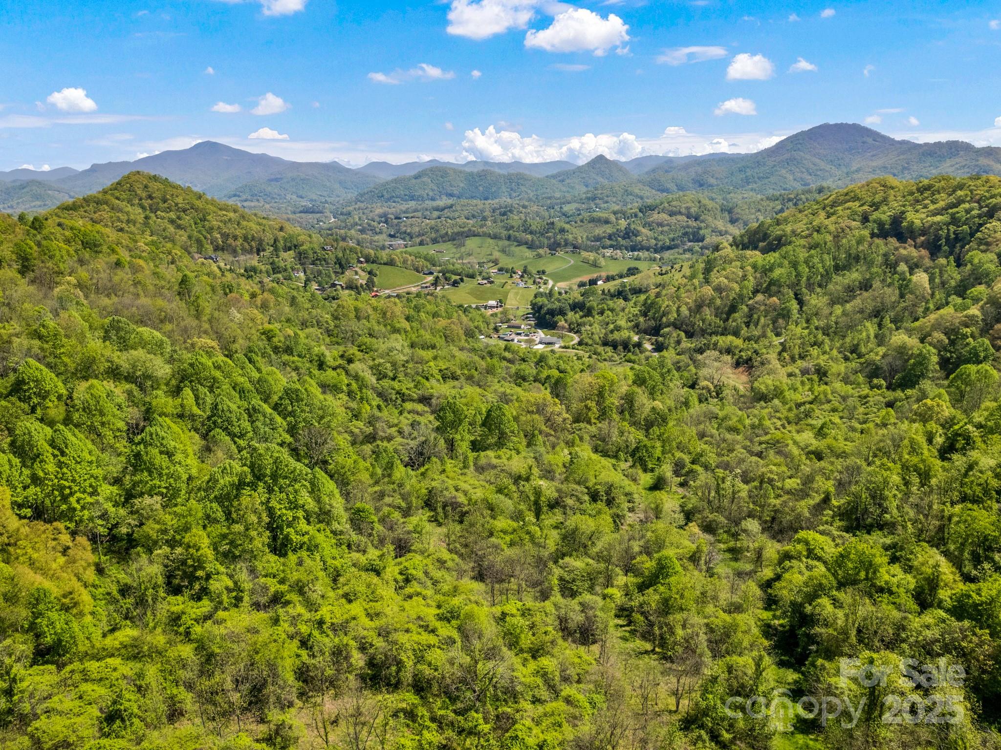 0 Shetley Road Waynesville, NC 28785 - Photo 34 of 34