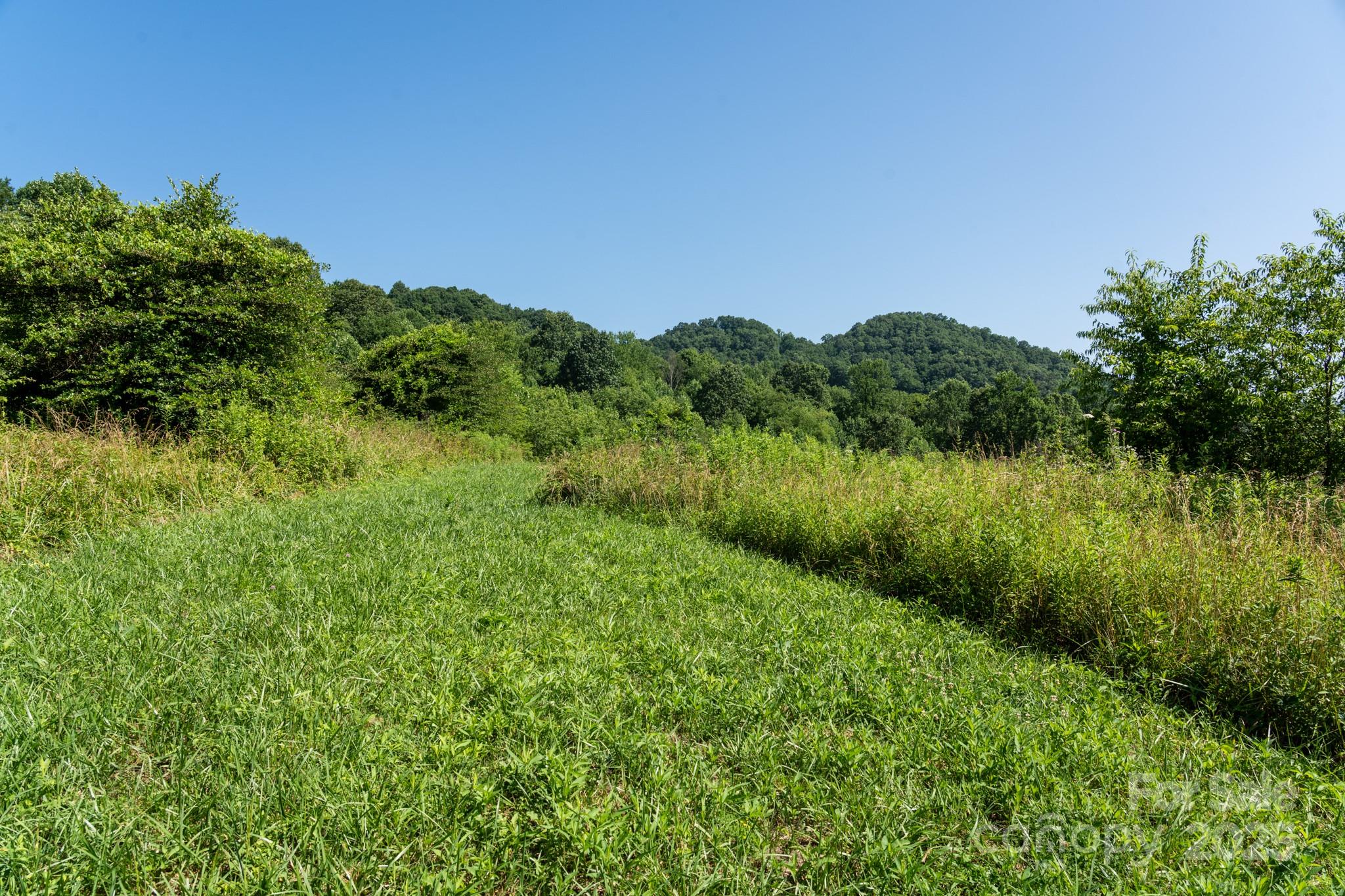 0 Shetley Road Waynesville, NC 28785 - Photo 4 of 34
