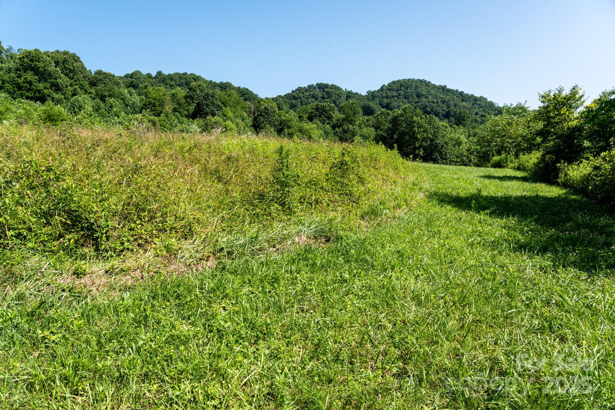 0 Shetley Road Waynesville, NC 28785 - Photo 5 of 34