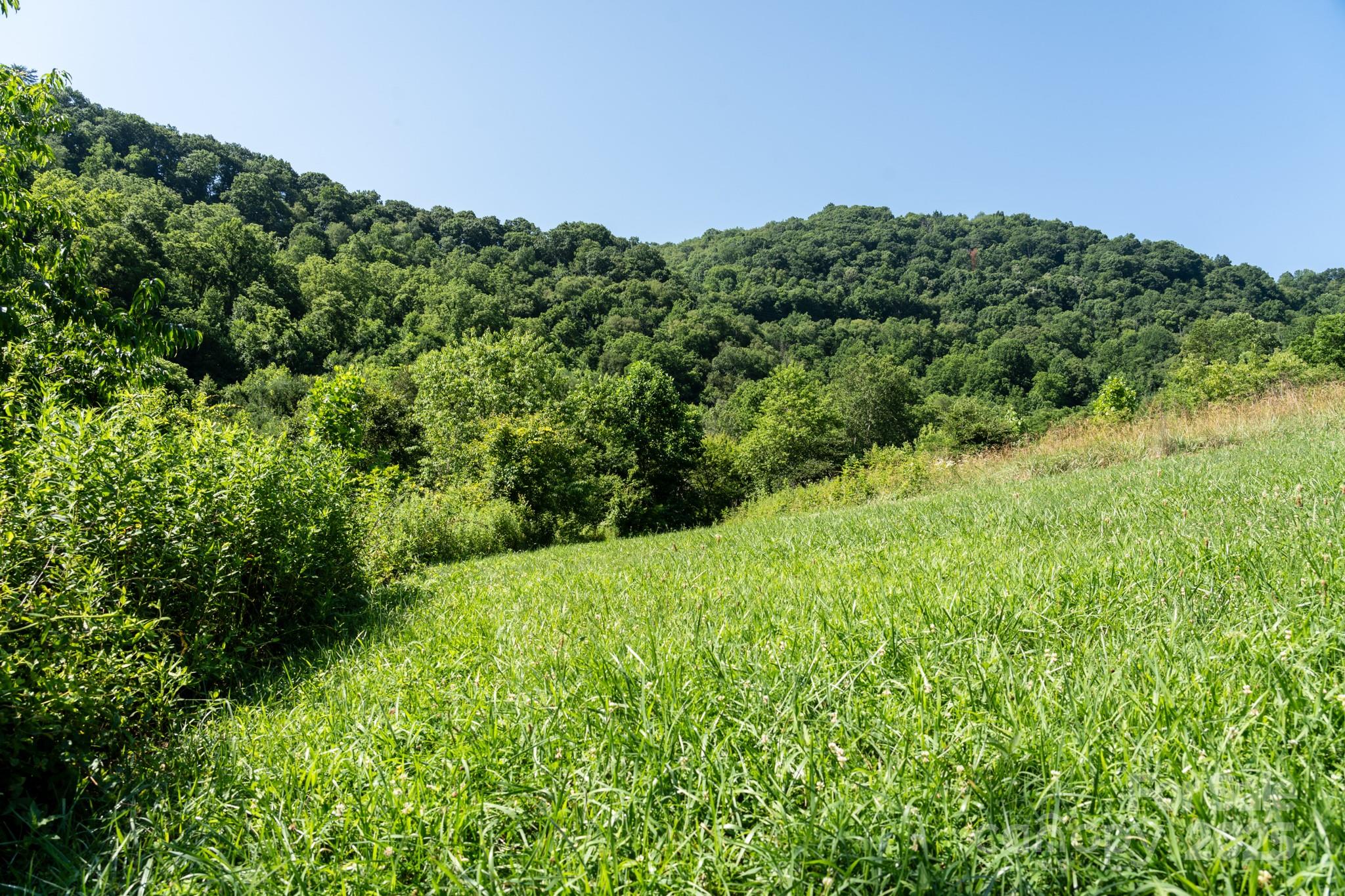 0 Shetley Road Waynesville, NC 28785 - Photo 6 of 34