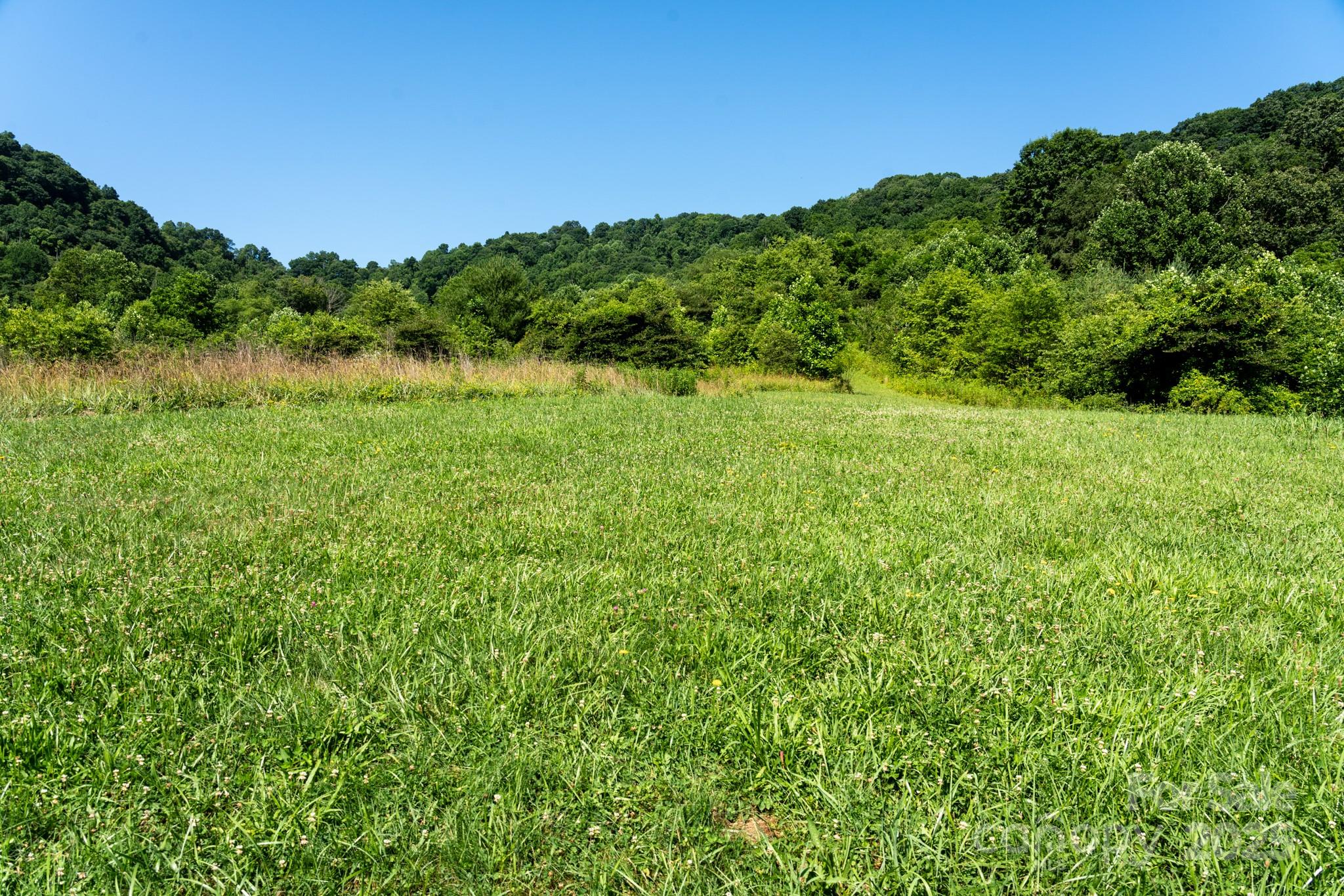 0 Shetley Road Waynesville, NC 28785 - Photo 7 of 34