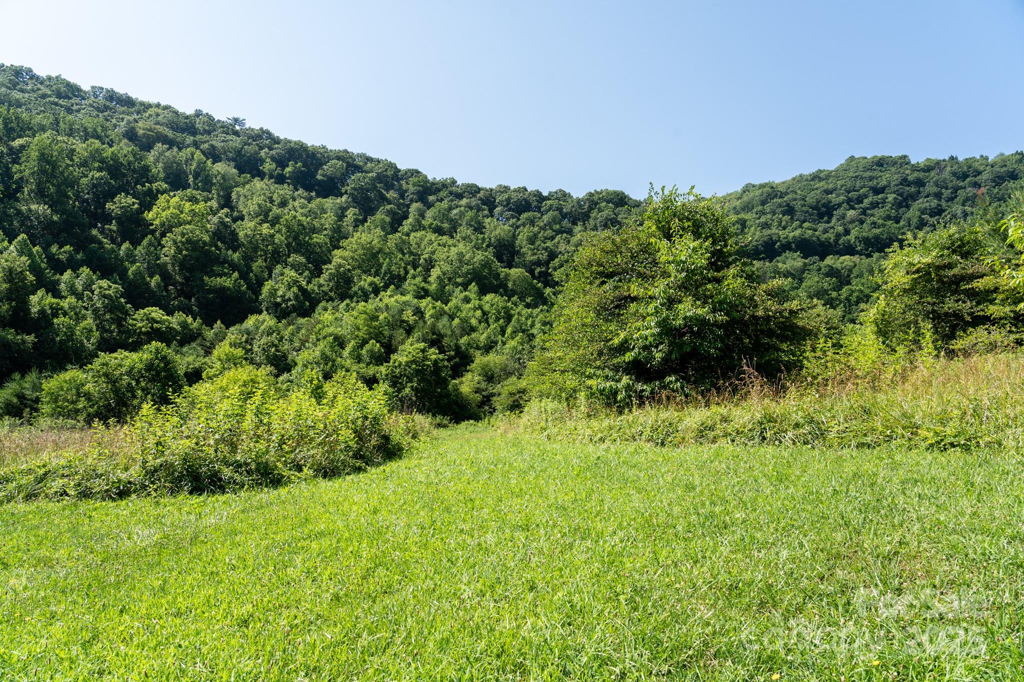 0 Shetley Road Waynesville, NC 28785 - Photo 8 of 34