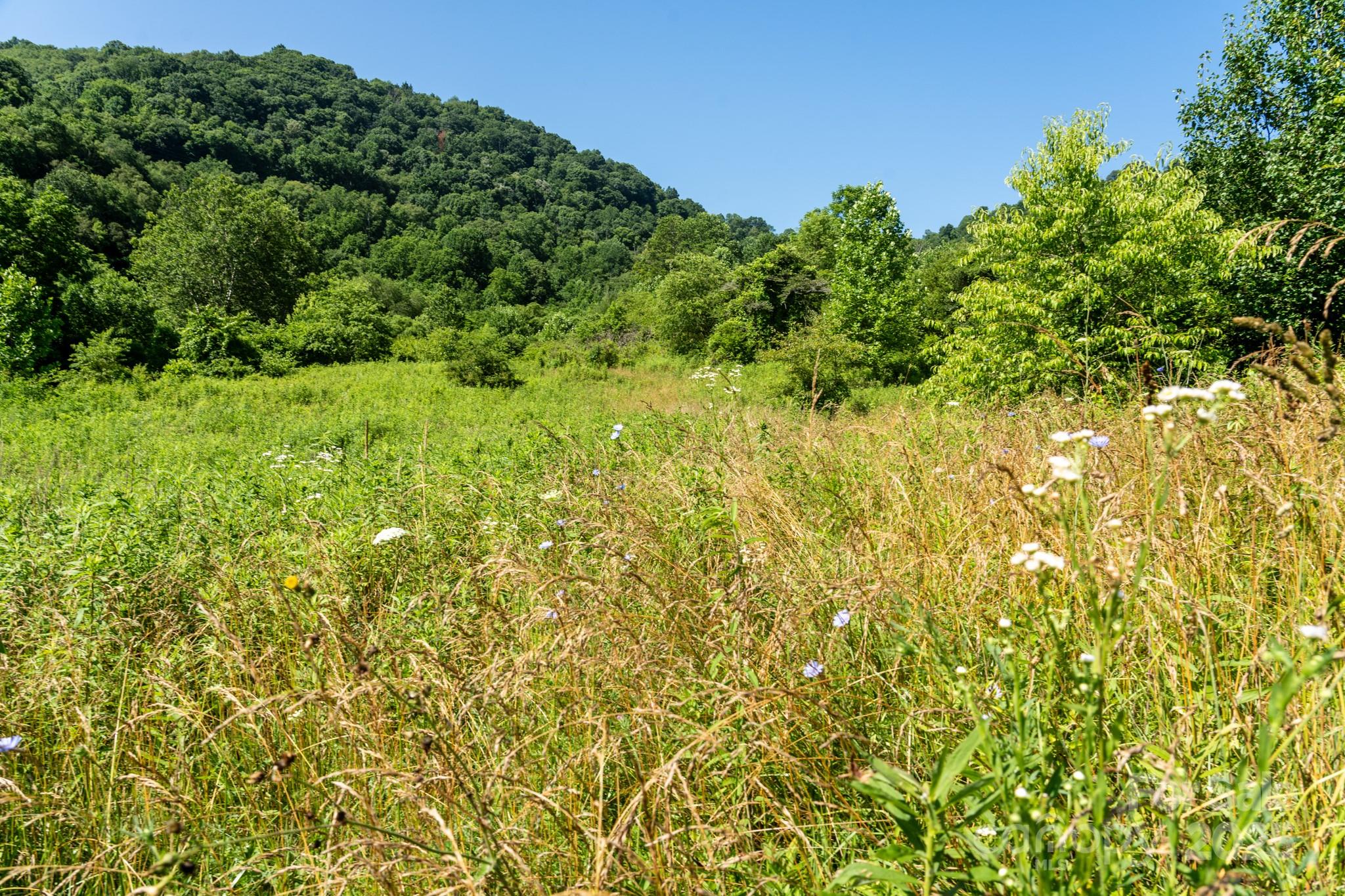 0 Shetley Road Waynesville, NC 28785 - Photo 9 of 34