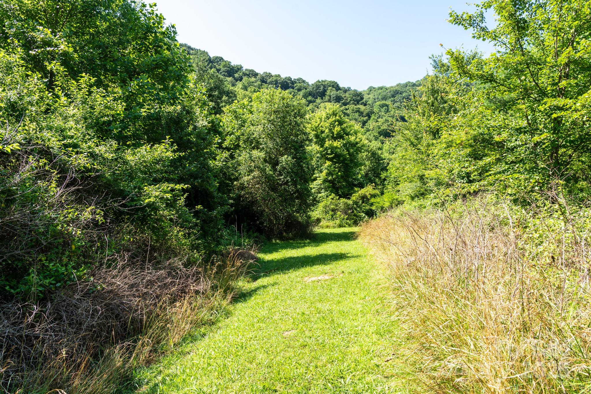 0 Shetley Road Waynesville, NC 28785 - Photo 10 of 34