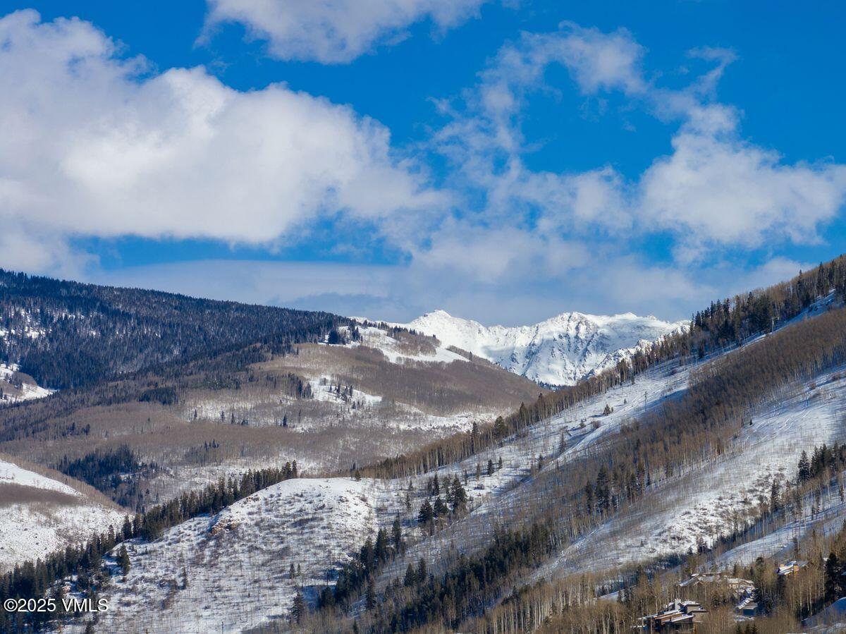 2699 Davos Trail Vail, CO 81657 - Photo 25 of 28 photo_online_027