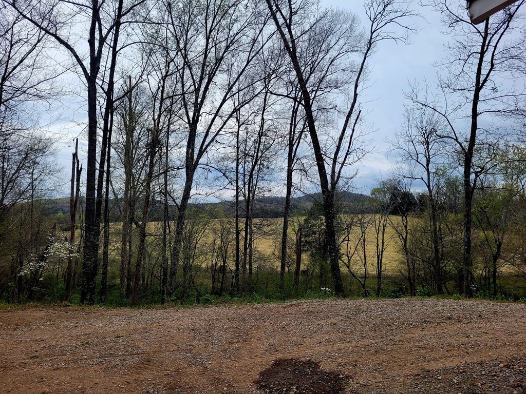 3120 Chatata Valley Road Northeast Charleston, TN 37310 - Photo 3 of 23 Gallery Image 3