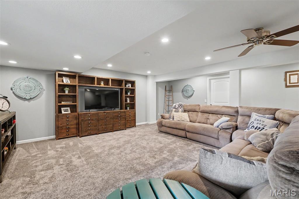 501 Micah's Way Columbia, IL 62236 - Photo 19 of 42