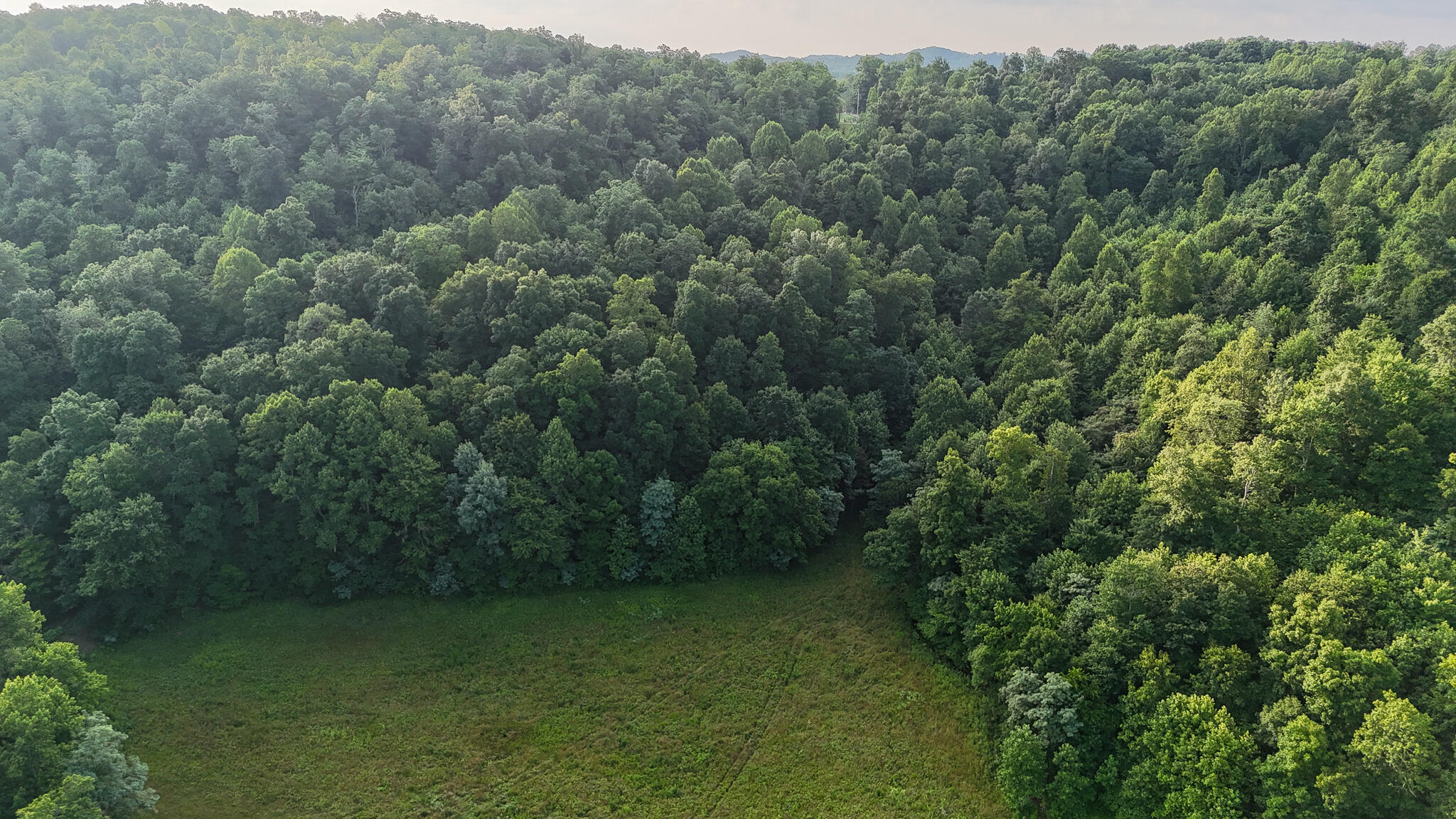 0 Thorp Ridge Wallingford, KY 41093 - Photo 12 of 28 Aerial view