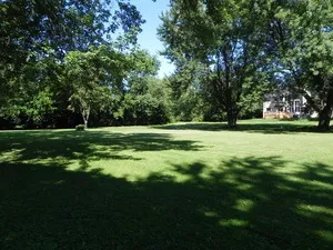 a view of a grassy field with trees