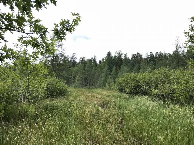 148-ac Sunset Point Road Tomahawk, WI 54487 - Photo 22 of 23 Gallery Image 22