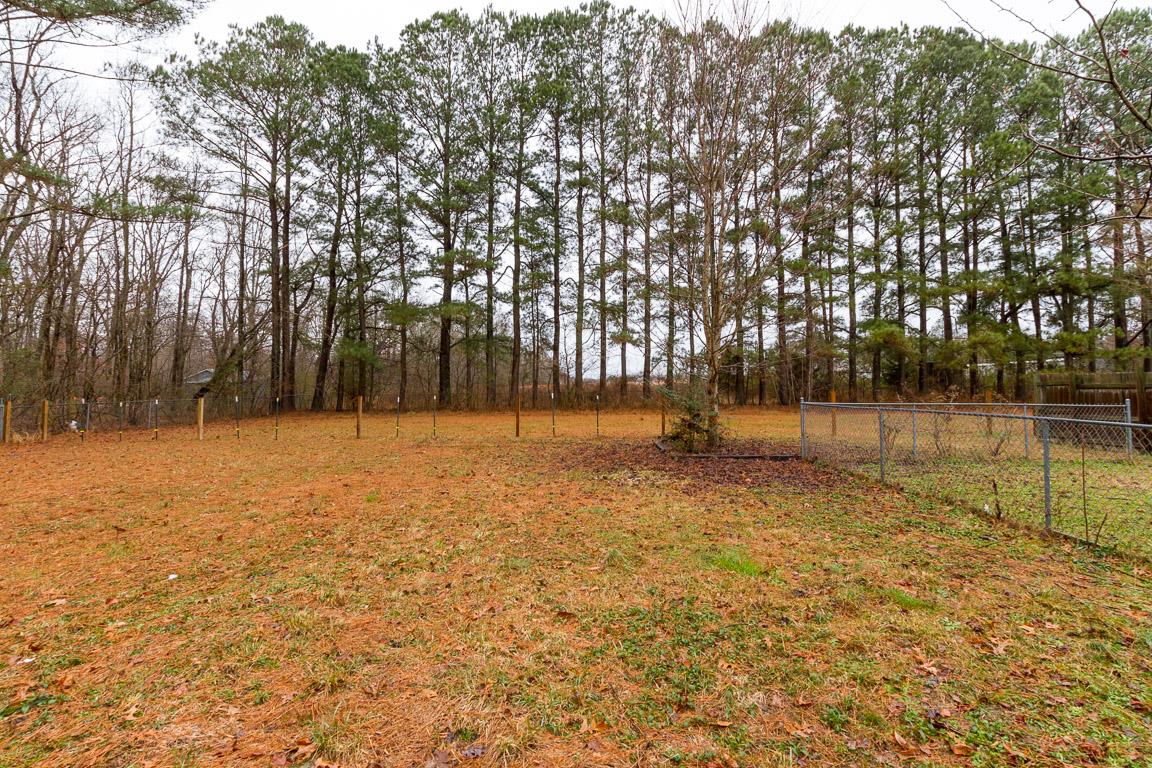 1931 Boynton Valley Road Manchester, TN 37355 - Photo 22 of 22 a backyard of a house with lots of tall trees
