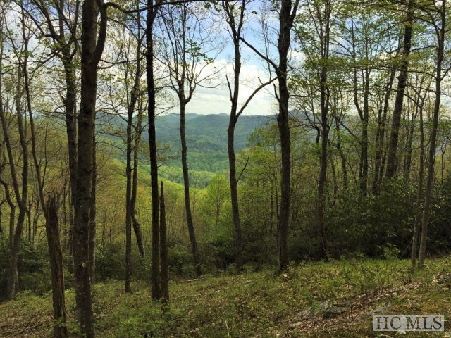 Lot 2 Tower Road Sapphire, NC 28774 - Photo 13 of 35 Gallery Image 13