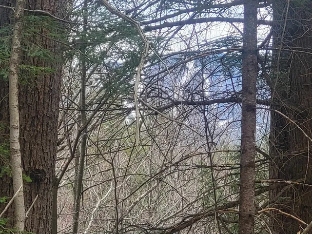 $150,000 | 410-089-001 Eastern District Road, Danbury, NH 03230