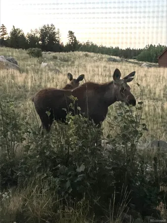 $899,500 | 216 Glacier Ridge Road, Alma, CO 80420