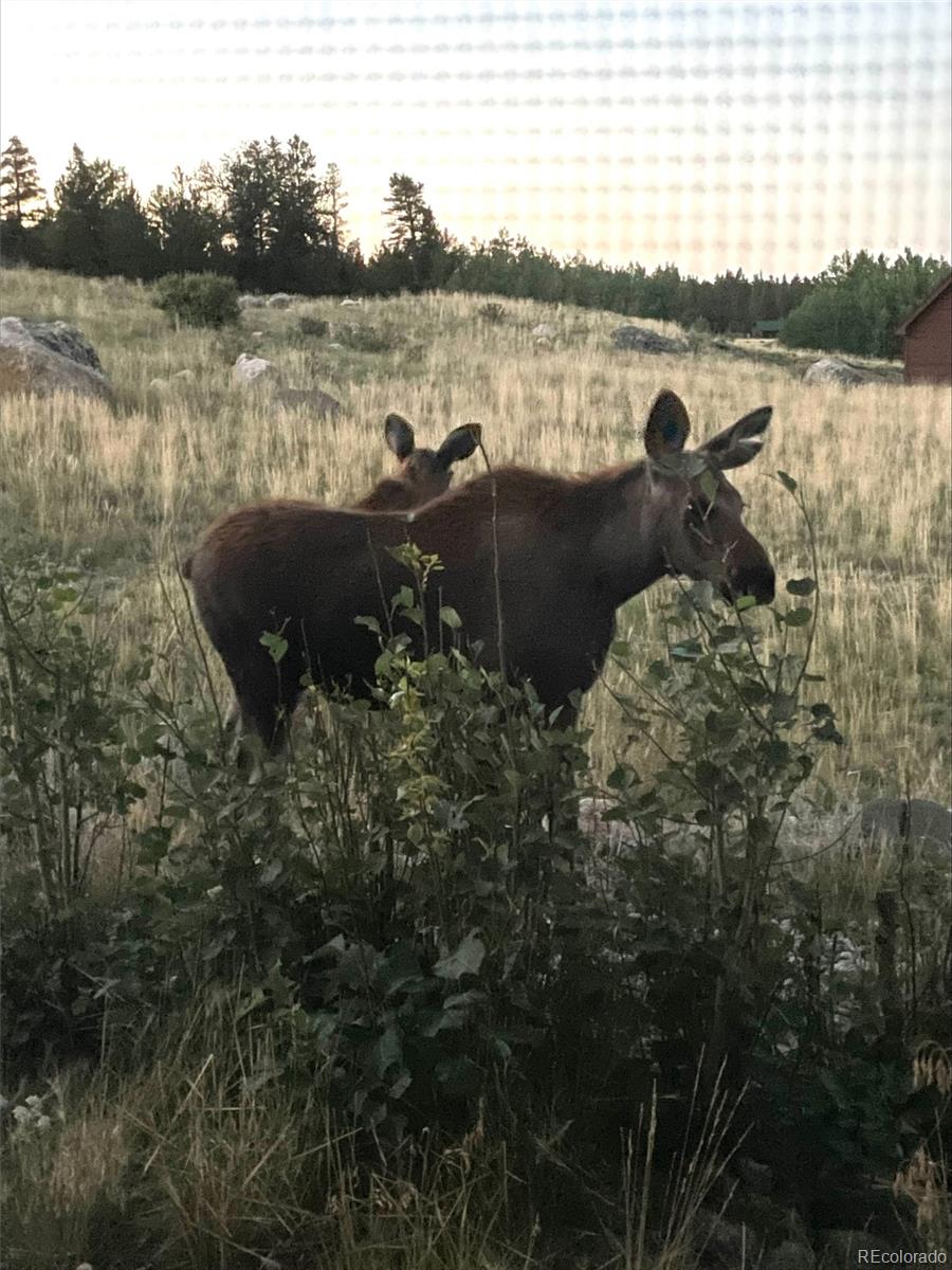 216 Glacier Ridge Road Alma, CO 80420 - Photo 35 of 37
