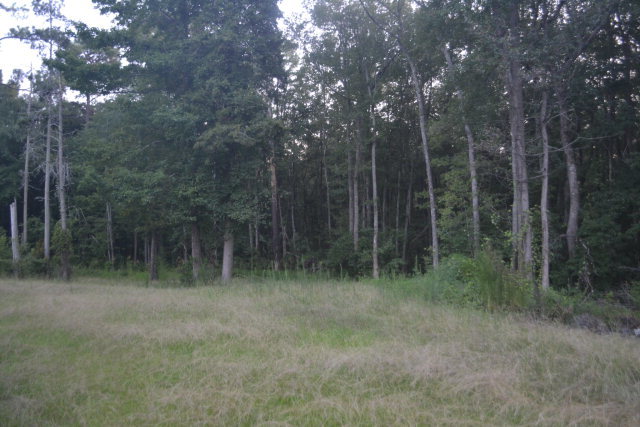 1821 Red Bluff Road McColl, SC 29570 - Photo 19 of 27 Additional Photo