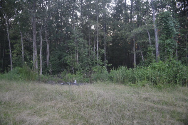1821 Red Bluff Road McColl, SC 29570 - Photo 20 of 27 Additional Photo
