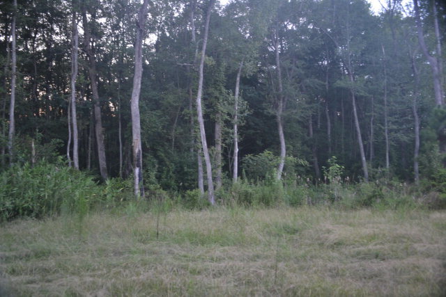 1821 Red Bluff Road McColl, SC 29570 - Photo 21 of 27 Additional Photo