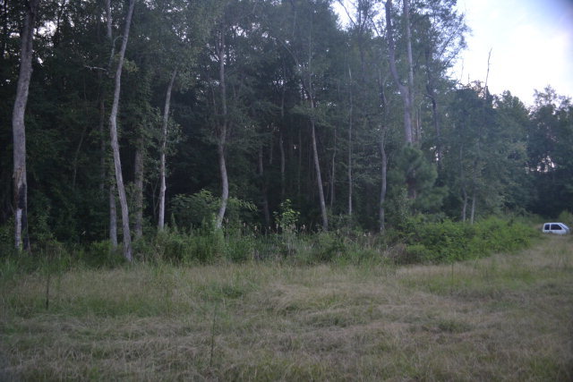 1821 Red Bluff Road McColl, SC 29570 - Photo 22 of 27 Additional Photo