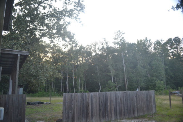 1821 Red Bluff Road McColl, SC 29570 - Photo 3 of 27 Additional Photo