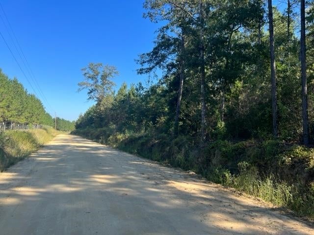 2-ac Coon Road Opp, AL 36467 - Photo 2 of 9 Gallery Image 2