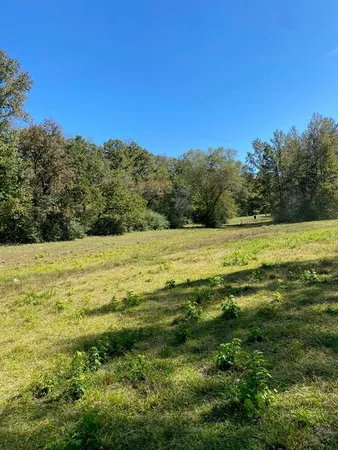 $149,999 | 004 County Road 242, Oakwood, TX 75855