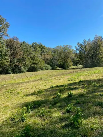 a view of a field with an ocean