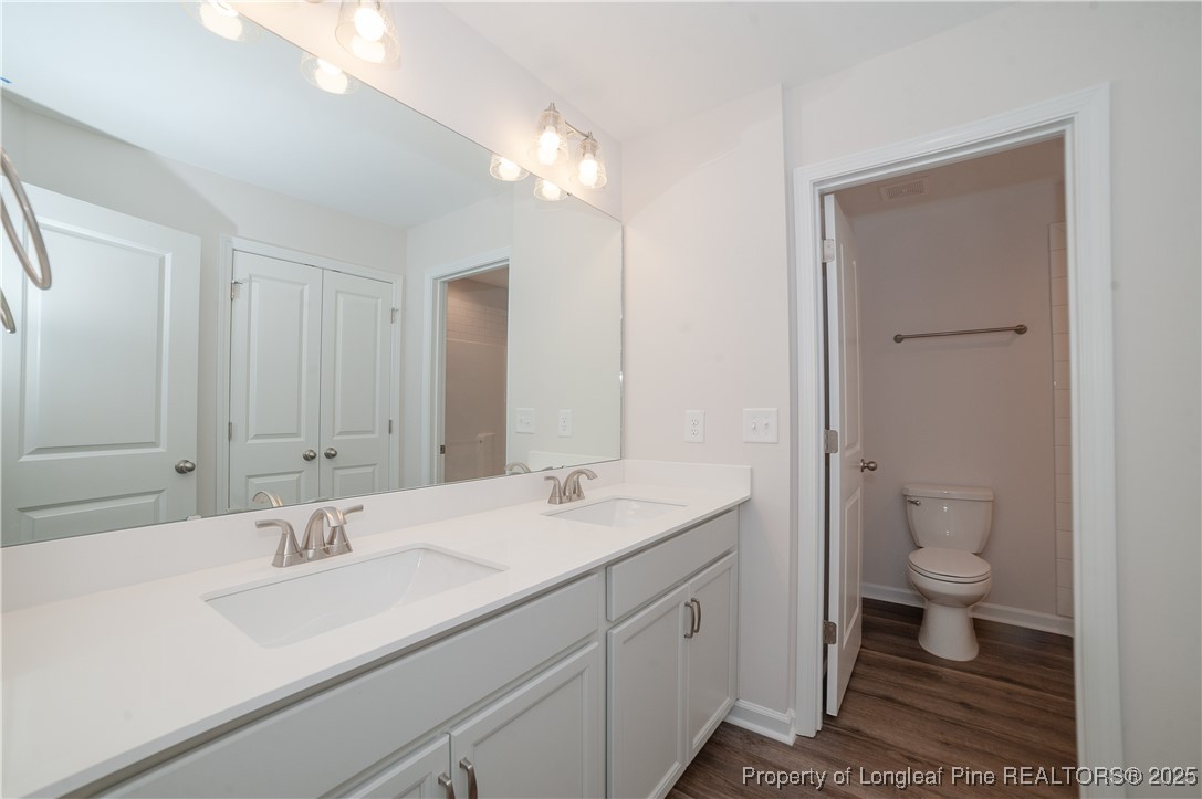164 Ziggy Way Raeford, NC 28376 - Photo 14 of 25 a bathroom with a sink a toilet and a large mirror