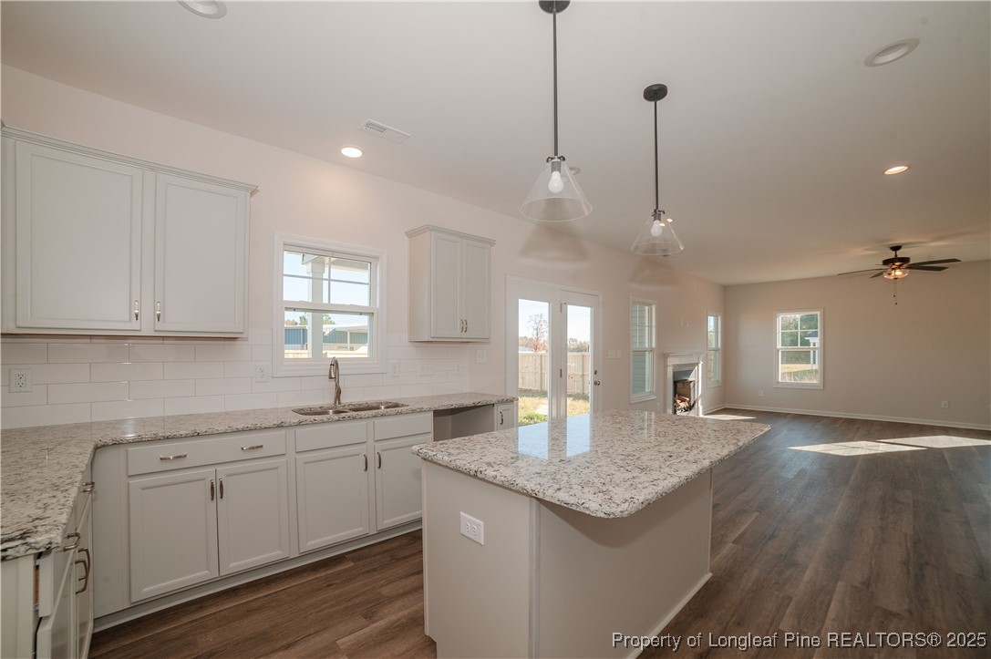 164 Ziggy Way Raeford, NC 28376 - Photo 3 of 25 a kitchen with a sink a center island and cabinets