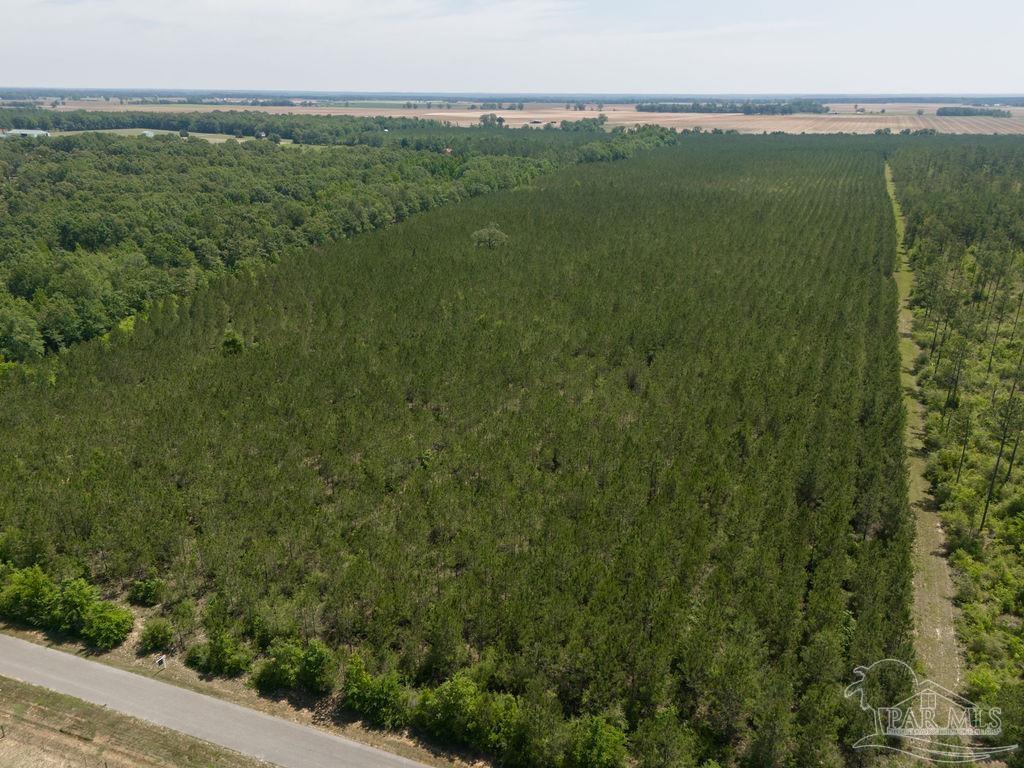 11 Bud Diamond Road Jay, FL 32565 - Photo 14 of 19