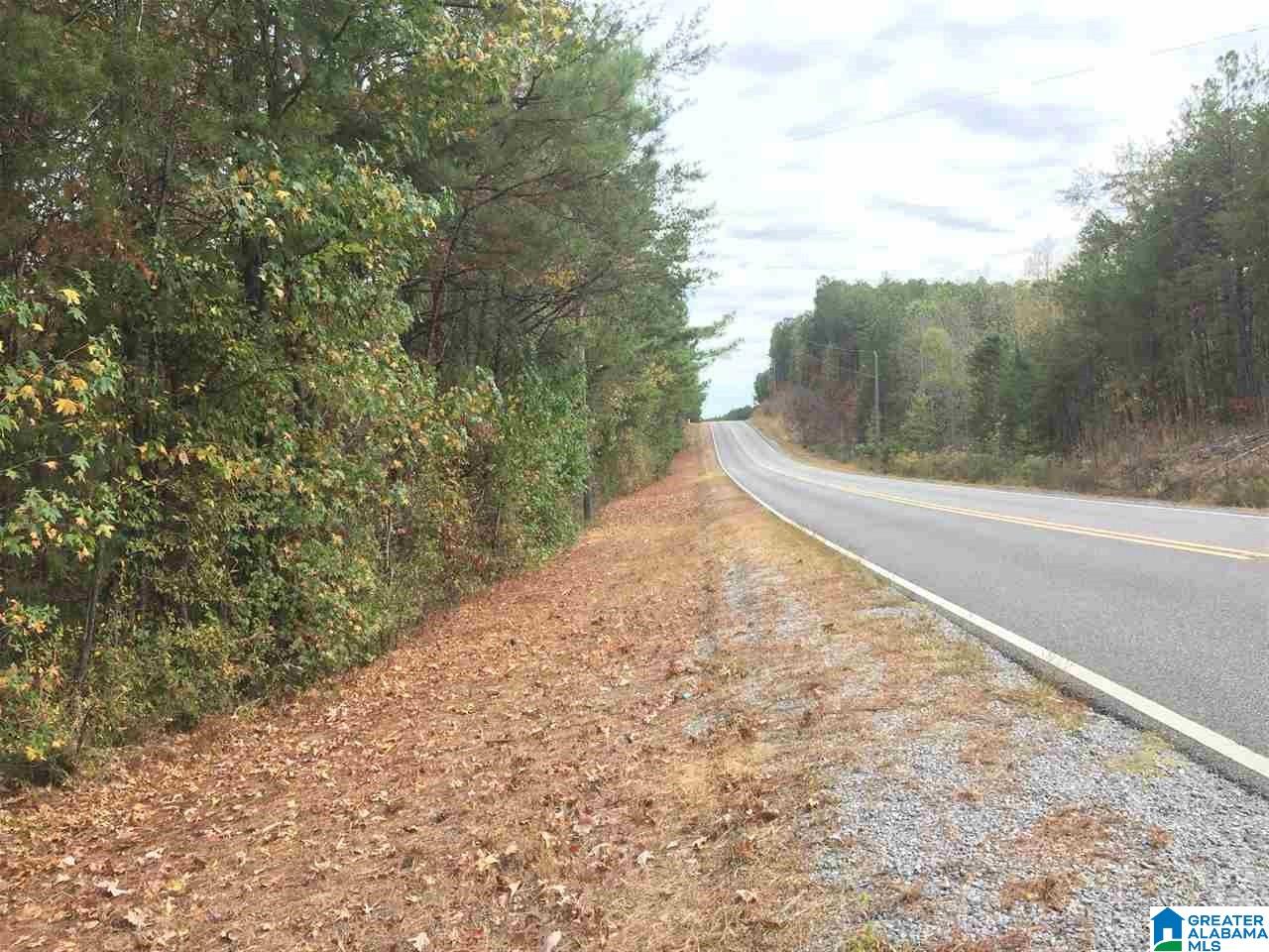 0 Highway 42 Calera Al Calera, AL 35040 - Photo 1 of 1