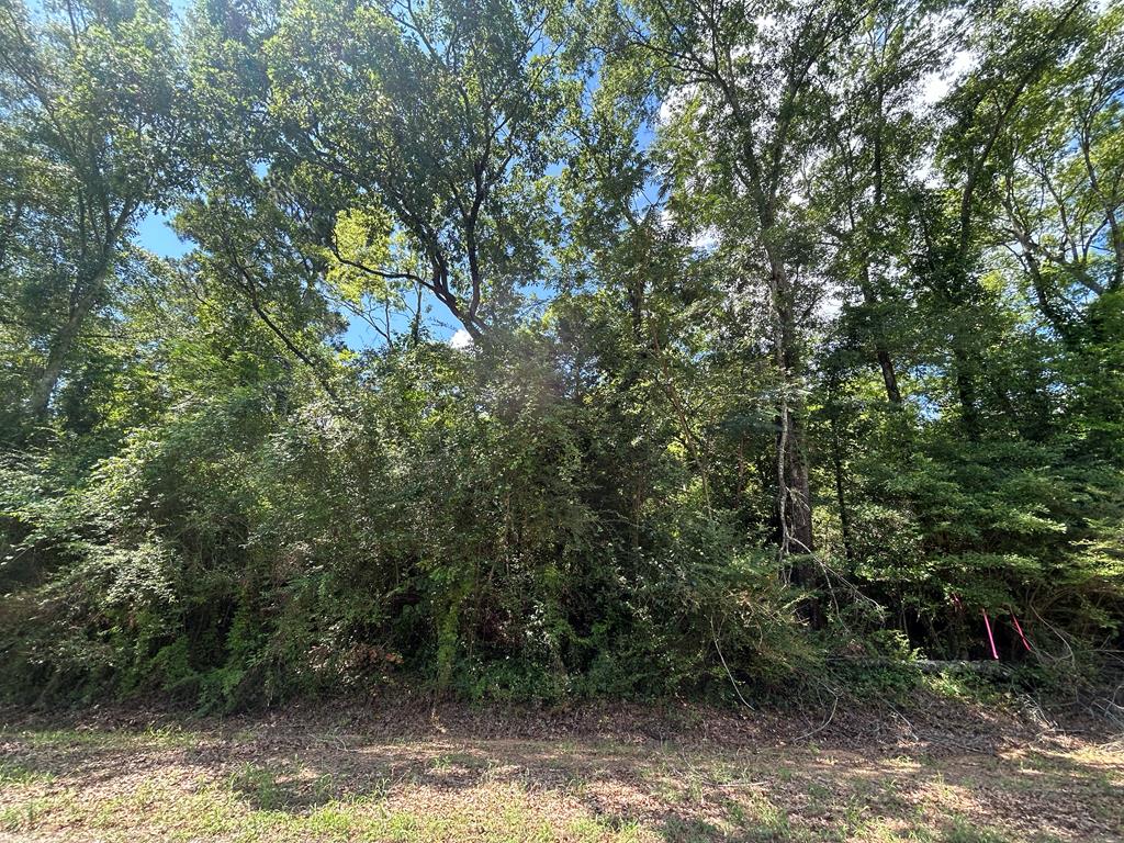 Lot 5-3 -ac Cty Road Newville, AL 36353 - Photo 7 of 13