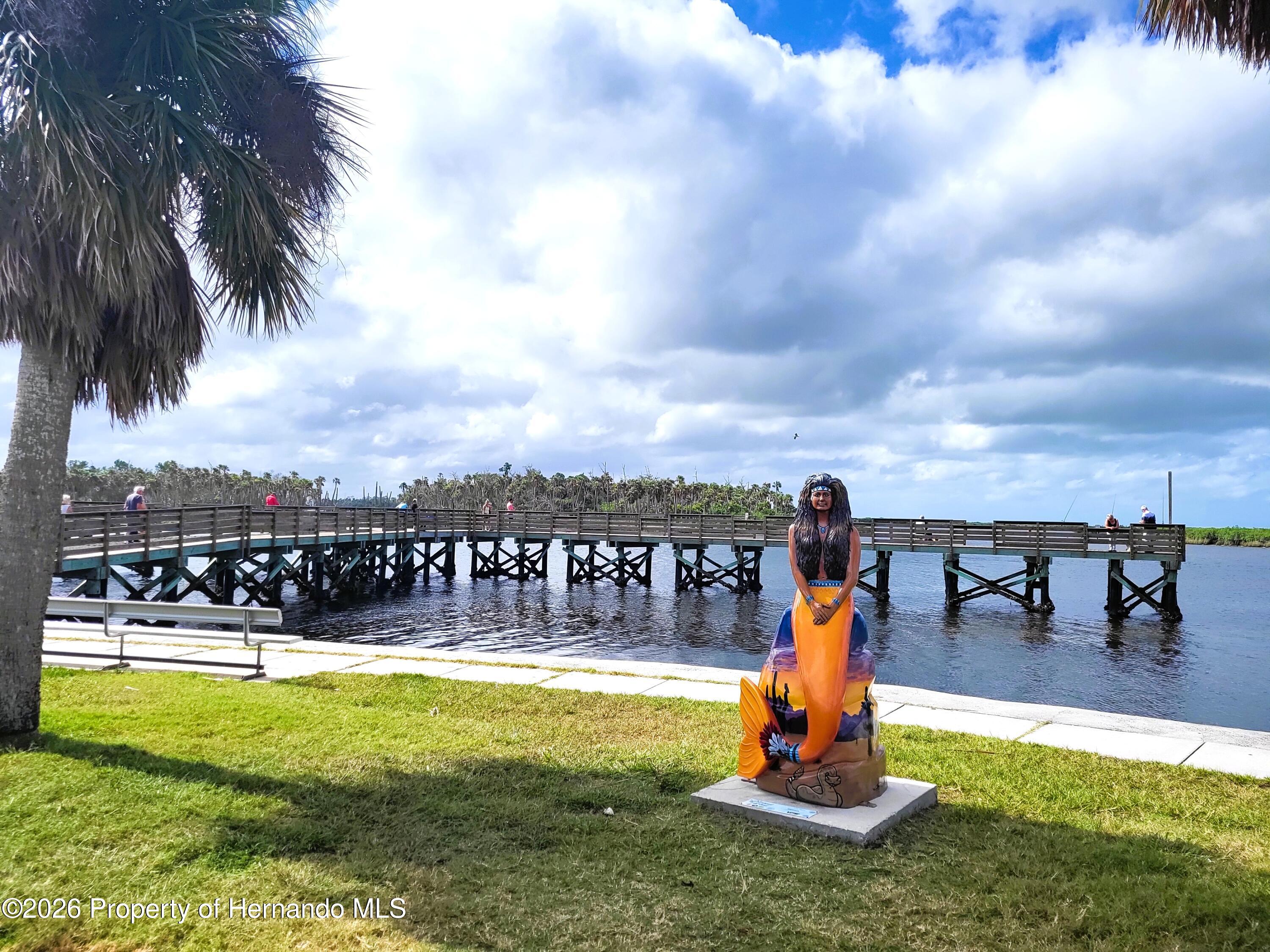 3461 Pandora Drive Weeki Wachee, FL 34607 - Photo 59 of 61 Bayport Public Pier Nearby