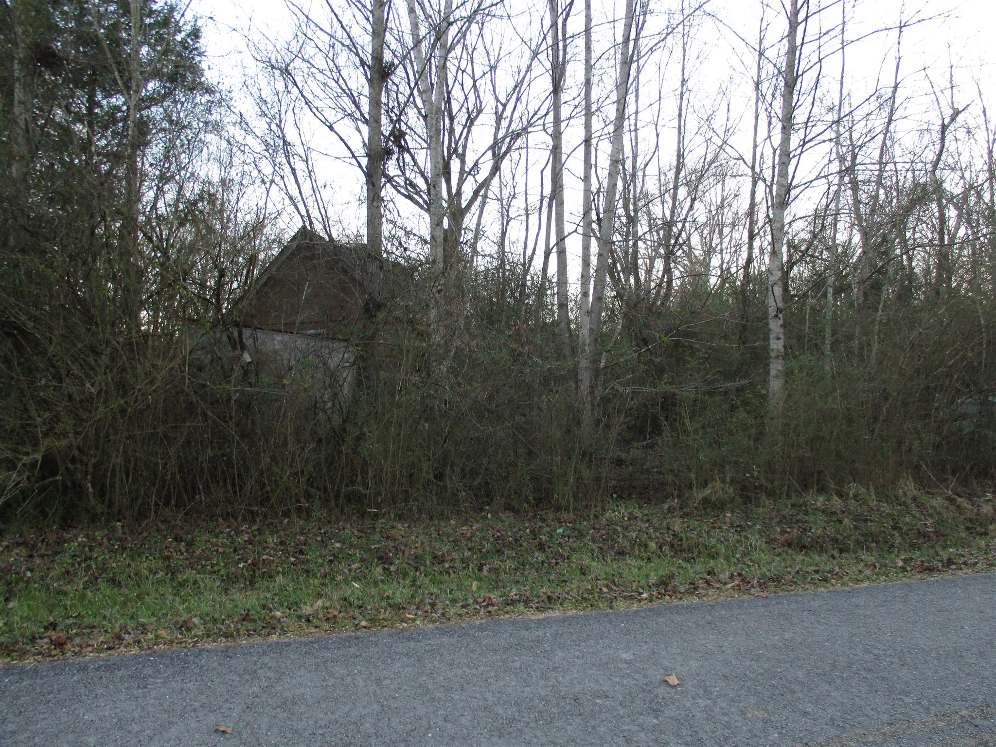 661 Dunk Blanton Road Tullahoma, TN 37388 - Photo 3 of 3 OLD UNLIVABLE HOME ON THE PROPERTY PARTIALLY FALLEN DOWN