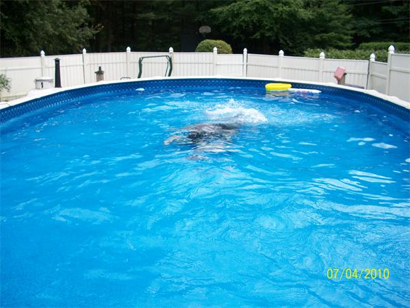 78 Bacon Road Ware, MA 01082 - Photo 11 of 15