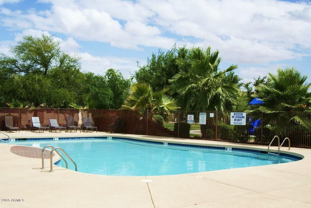 2551 South Powell Road Apache Junction, AZ 85119 - Photo 6 of 10 Jacob's Ranch Pool