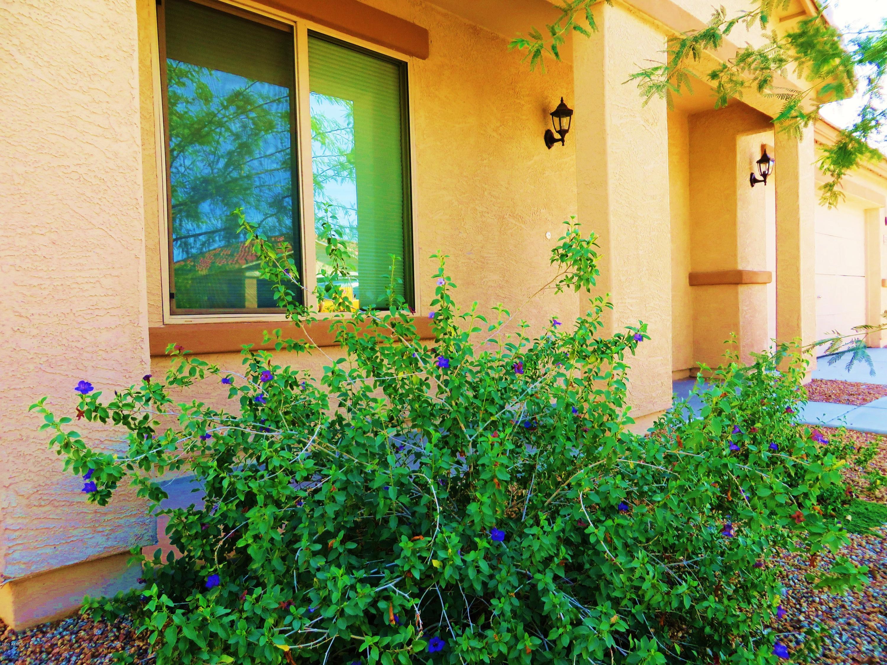 2551 South Powell Road Apache Junction, AZ 85119 - Photo 8 of 10 Mature landscaping