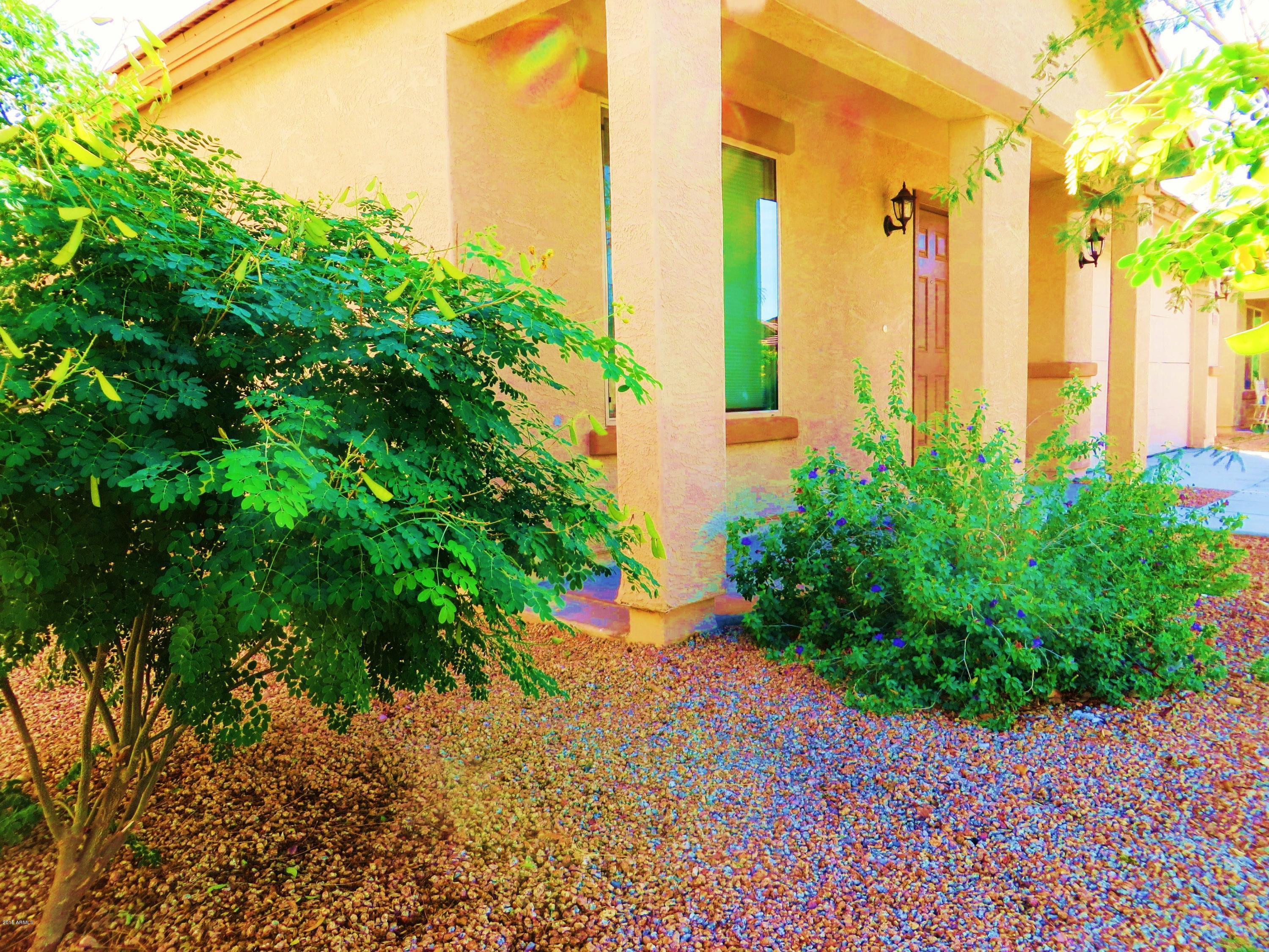2551 South Powell Road Apache Junction, AZ 85119 - Photo 9 of 10 front porch