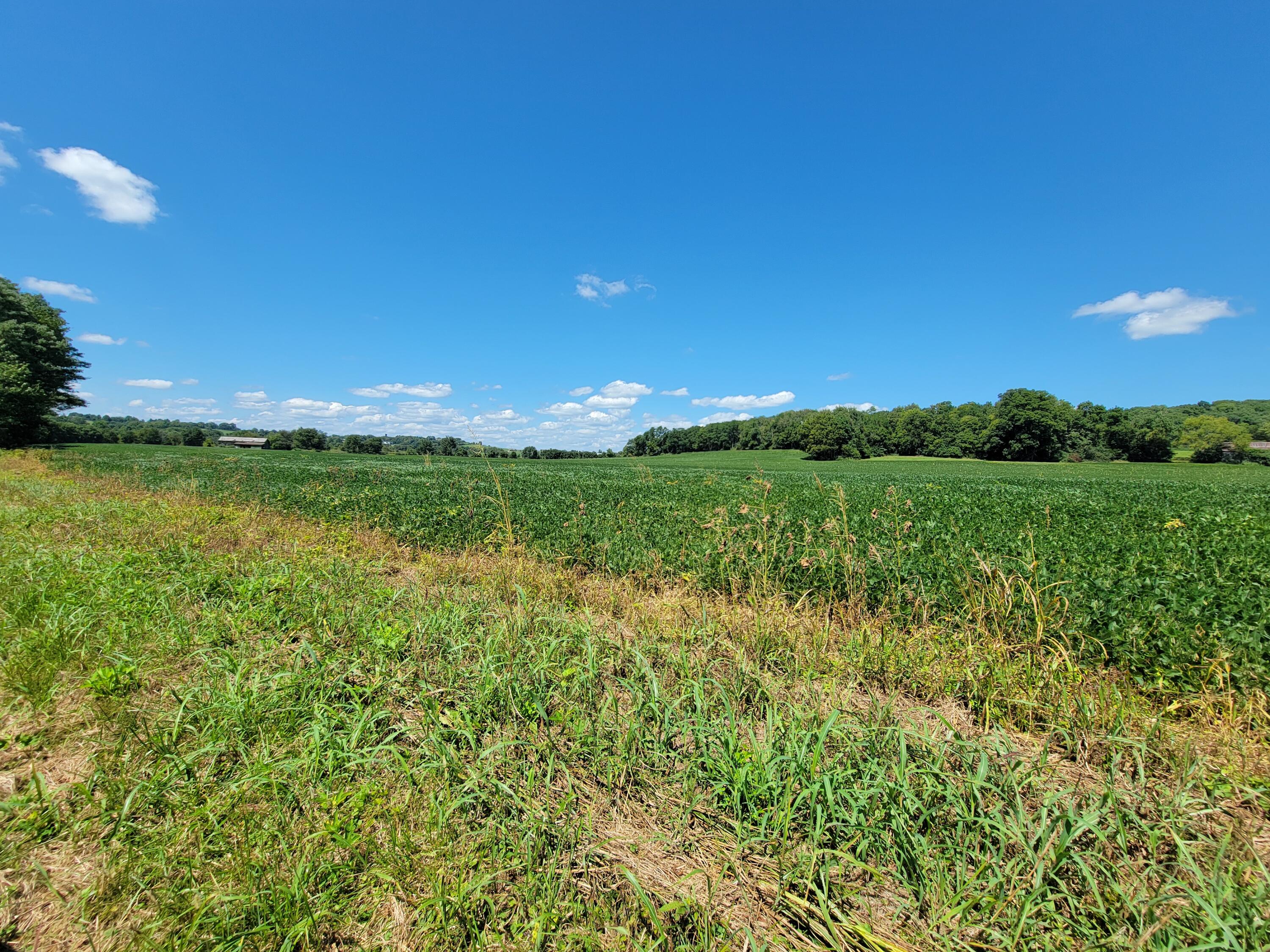 0 Peaks Mill Road Frankfort, KY 40601 - Photo 4 of 35 Gallery Image 4