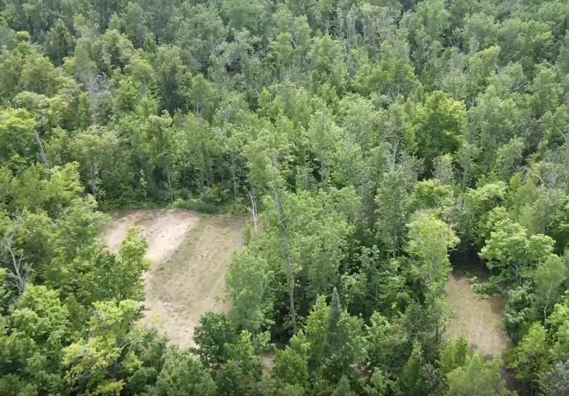 Tbd South Gull Lake Road Northeast Tenstrike, MN 56683 - Photo 11 of 18