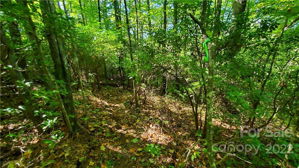 333 Ladd Ridge Road Rosman, NC 28772 - Photo 11 of 40 Gallery Image 11