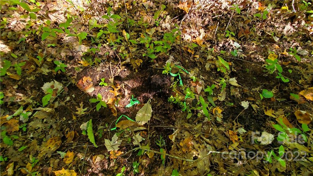 333 Ladd Ridge Road Rosman, NC 28772 - Photo 12 of 40 Gallery Image 12