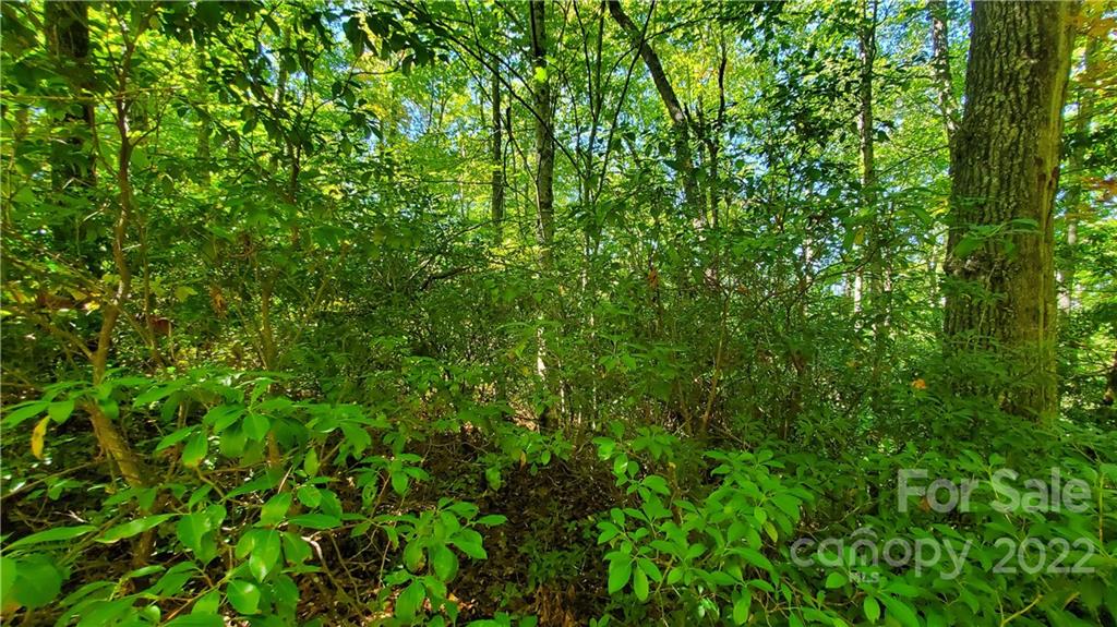 333 Ladd Ridge Road Rosman, NC 28772 - Photo 14 of 40 Gallery Image 14