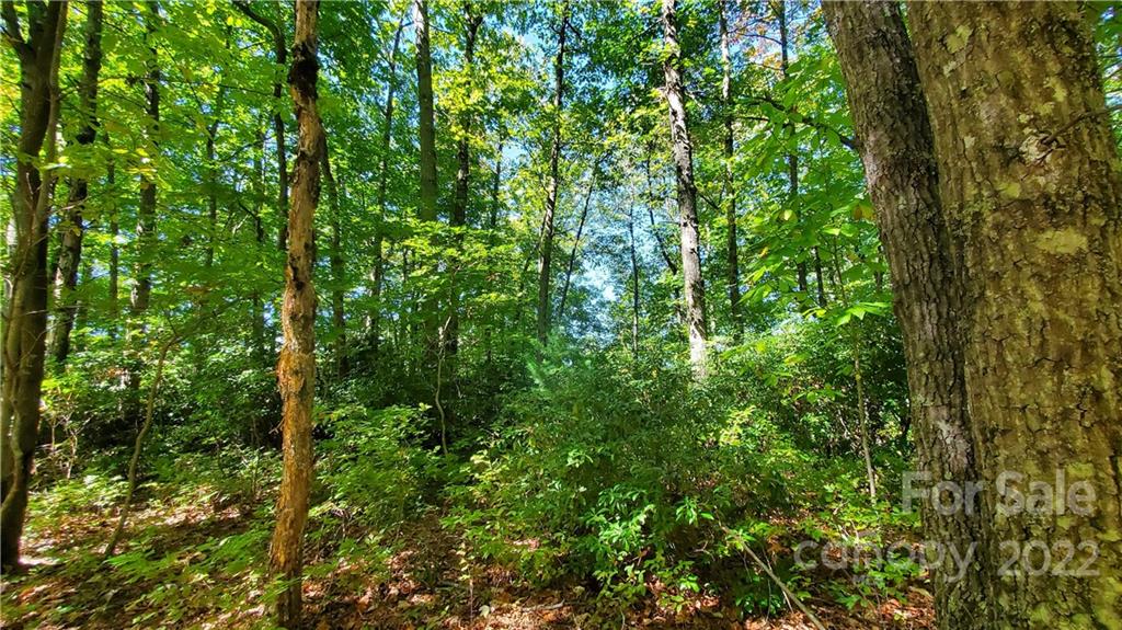 333 Ladd Ridge Road Rosman, NC 28772 - Photo 15 of 40 Gallery Image 15