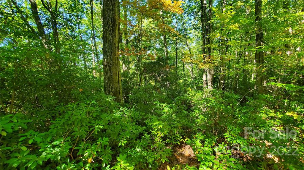 333 Ladd Ridge Road Rosman, NC 28772 - Photo 16 of 40 Gallery Image 16