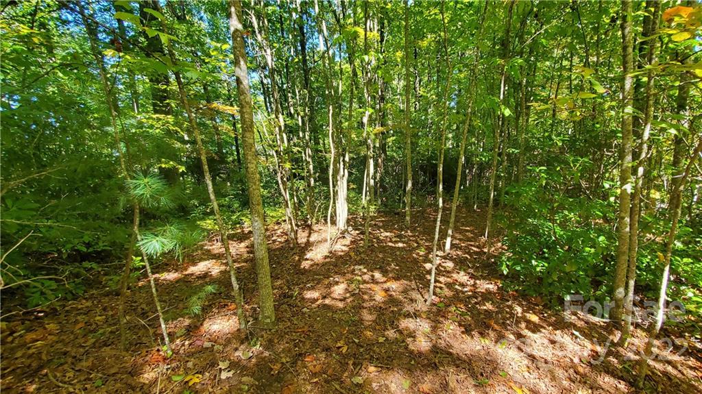 333 Ladd Ridge Road Rosman, NC 28772 - Photo 17 of 40 Gallery Image 17