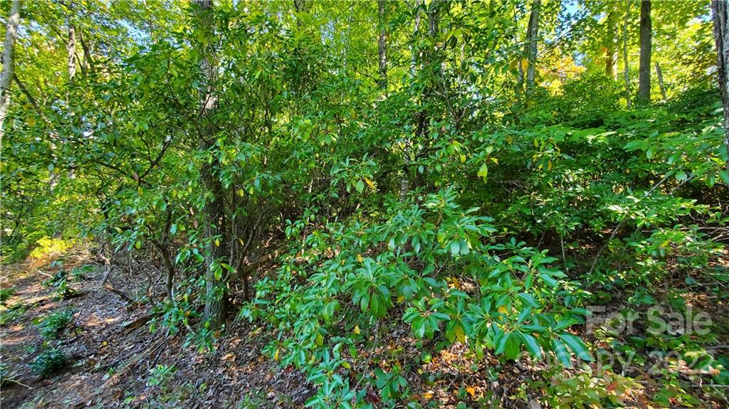 333 Ladd Ridge Road Rosman, NC 28772 - Photo 18 of 40 Gallery Image 18