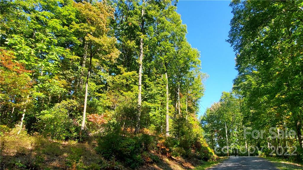 333 Ladd Ridge Road Rosman, NC 28772 - Photo 23 of 40 Gallery Image 23