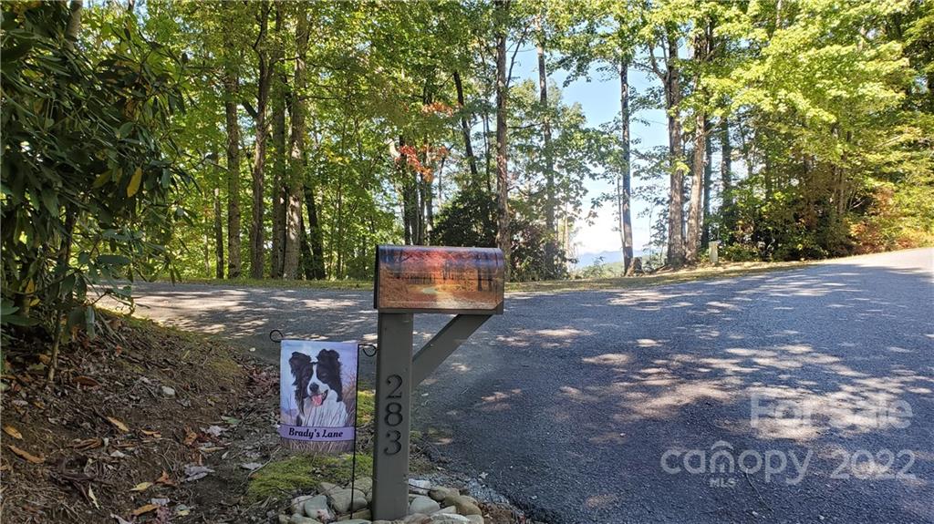 333 Ladd Ridge Road Rosman, NC 28772 - Photo 33 of 40 Gallery Image 33