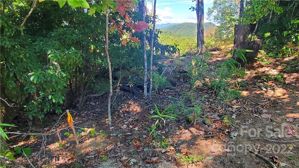 333 Ladd Ridge Road Rosman, NC 28772 - Photo 34 of 40 Gallery Image 34